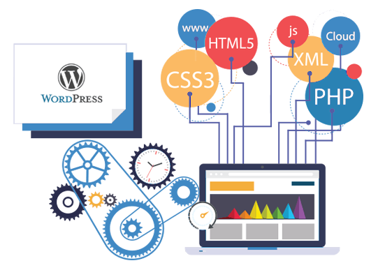 Why Does a Highly Proficient Web Design and Development Company Matter in Dubai?